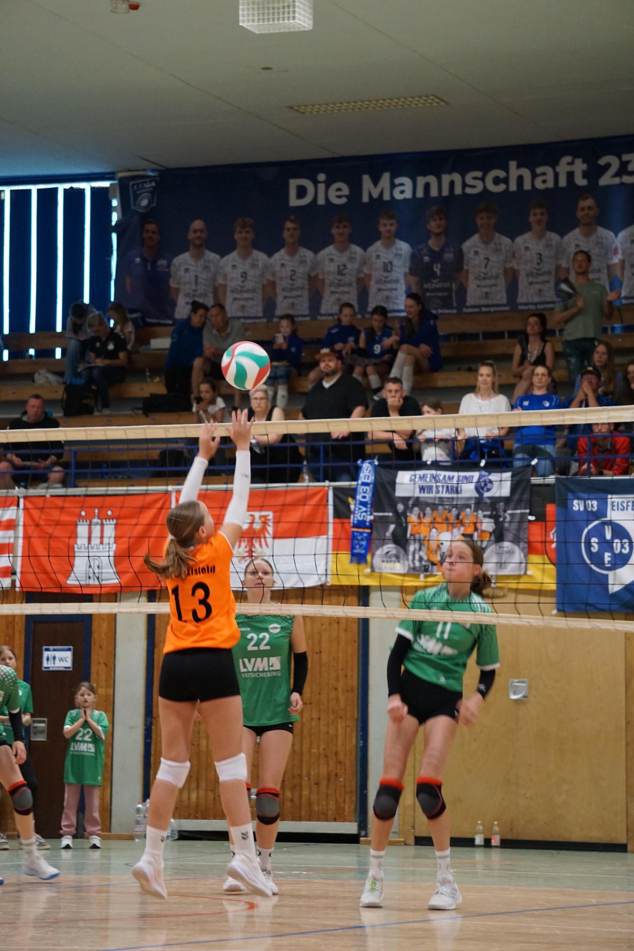 Bild der Galerie