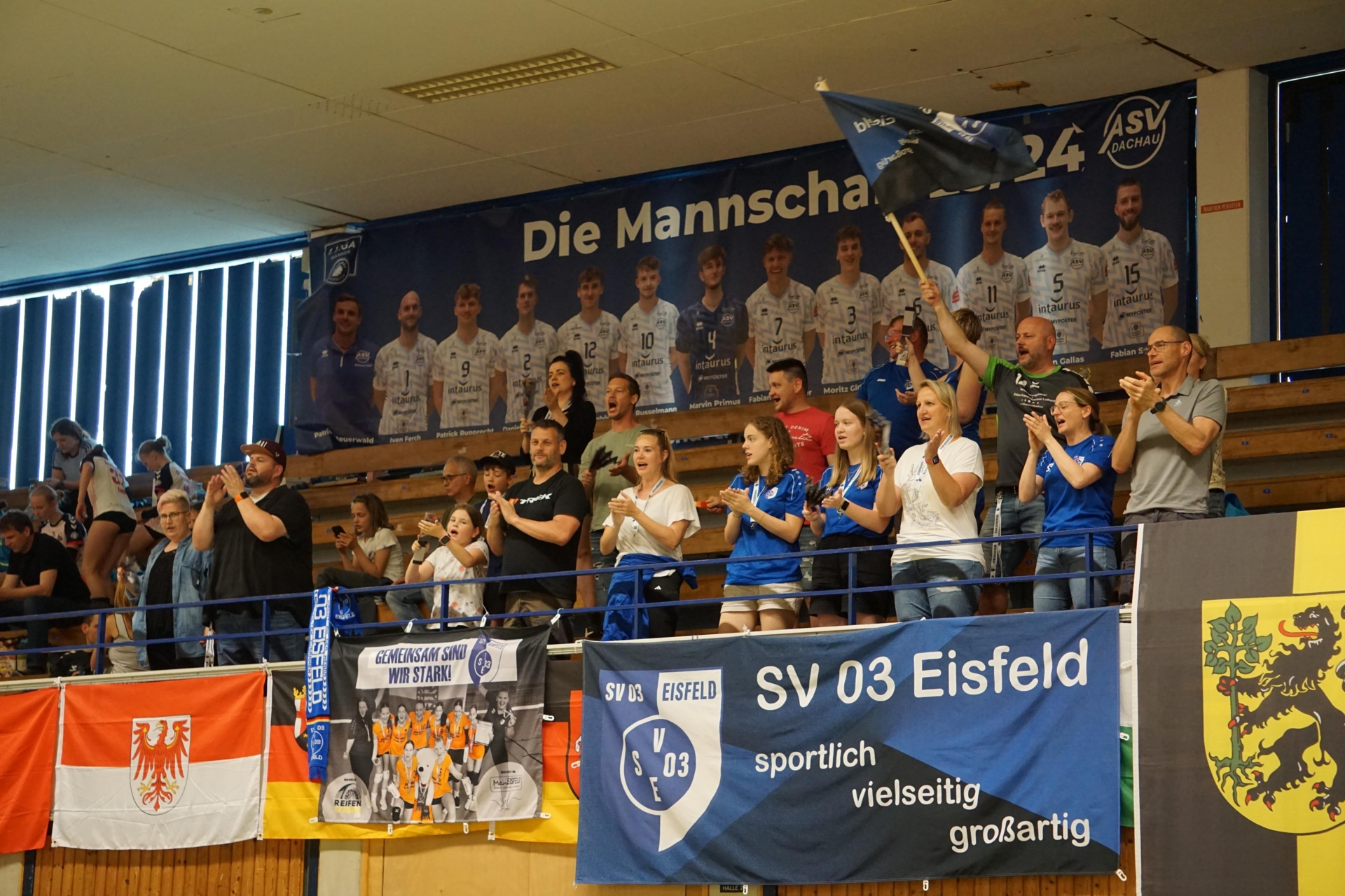 Bild der Galerie