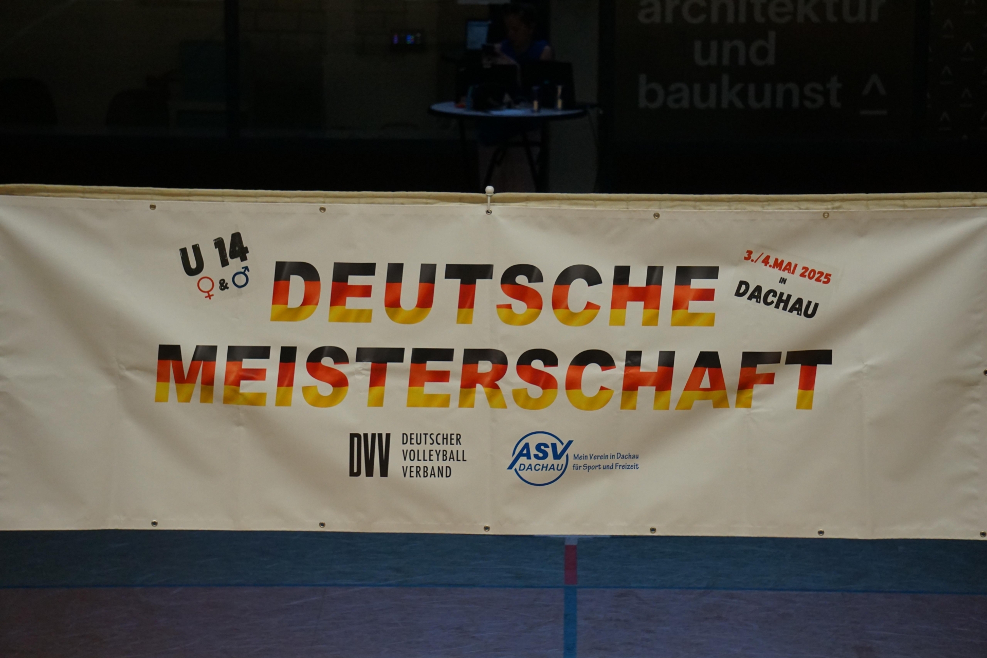 Bild der Galerie