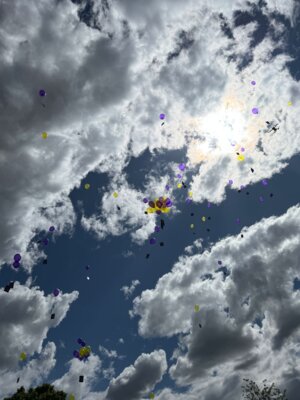 Foto des Albums: 3. Kitakollaps- Aktionstag