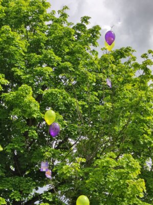 Foto des Albums: 3. Kitakollaps- Aktionstag