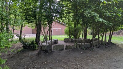 Foto des Albums: Grünes Klassenzimmer 2025