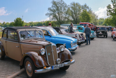 Foto des Albums: IFA Festival 2025