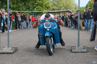 Foto des Albums: IFA Festival 2025