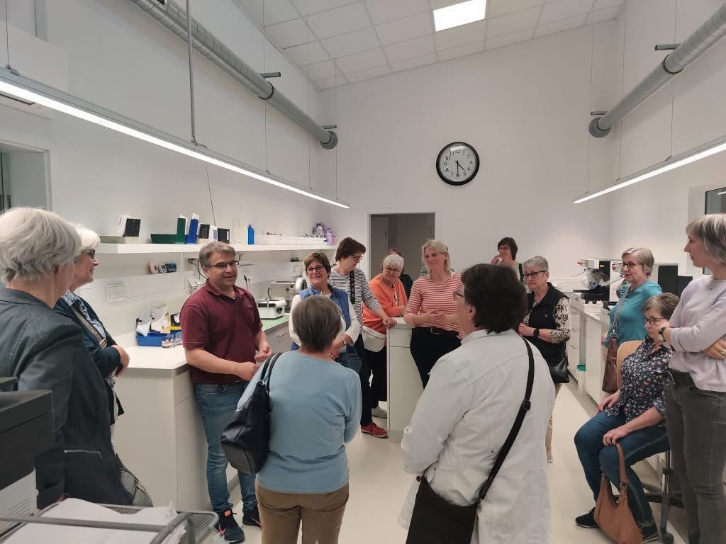 Bild der Galerie