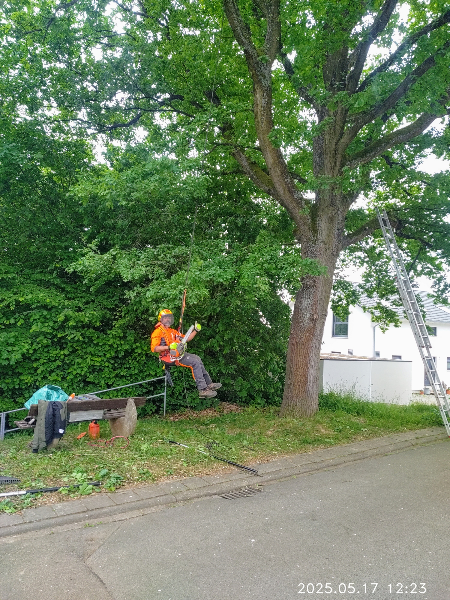 Bild: Hier kommt man nur mit Seilklettertechnik in die Höhe