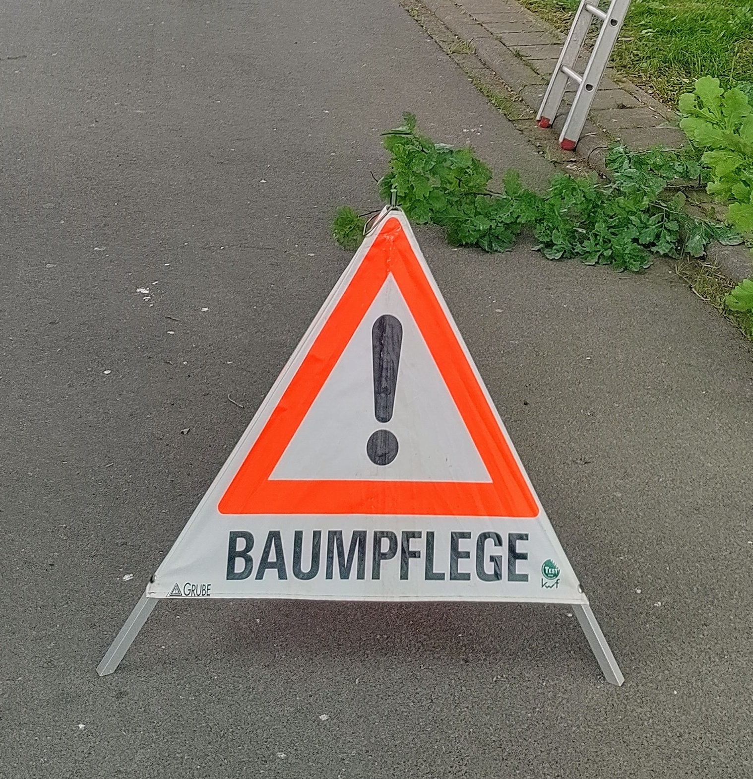 Bild: Ein jährliches