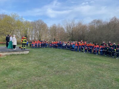 Foto des Albums: Orientierungslauf 2025