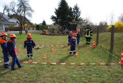 Foto des Albums: Orientierungslauf 2025