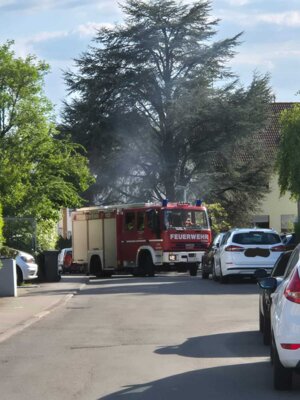 Foto des Albums: 20250509_Hecke_ImFeuerhaupt