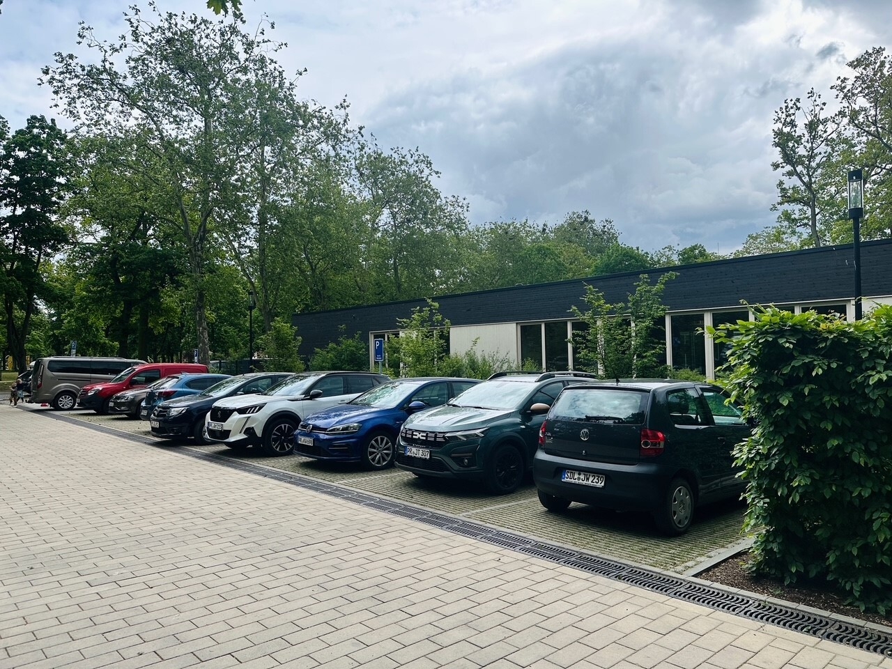 Bild der Galerie