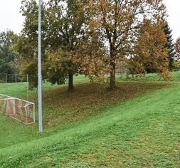 Den ersten Fangkorb sieht man gar nicht: Man muss eine Kurve um den Lichtmast und die B&auml;ume werfen. Foto: Manuela Junk 