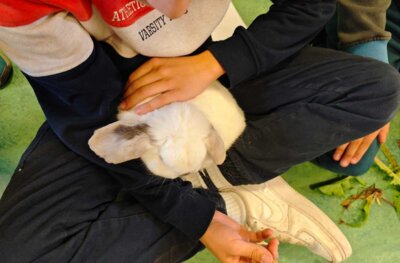 Foto des Albums: Osterhasen in der FGTS