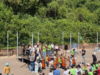 Foto des Albums: Deckenflohmarkt 2025