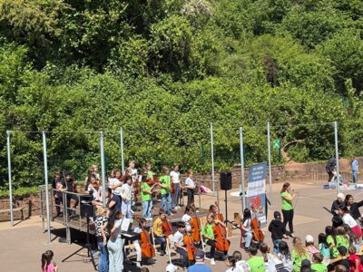 Foto des Albums: Deckenflohmarkt 2025