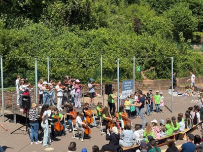 Foto des Albums: Deckenflohmarkt 2025