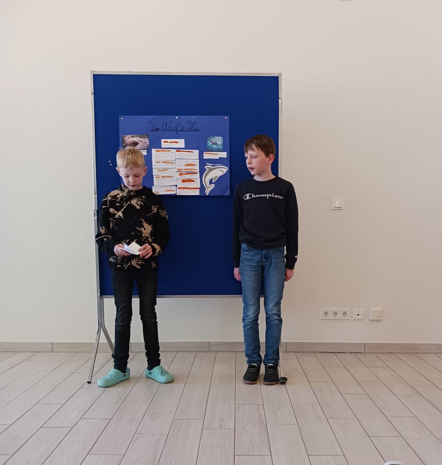 Bild der Galerie
