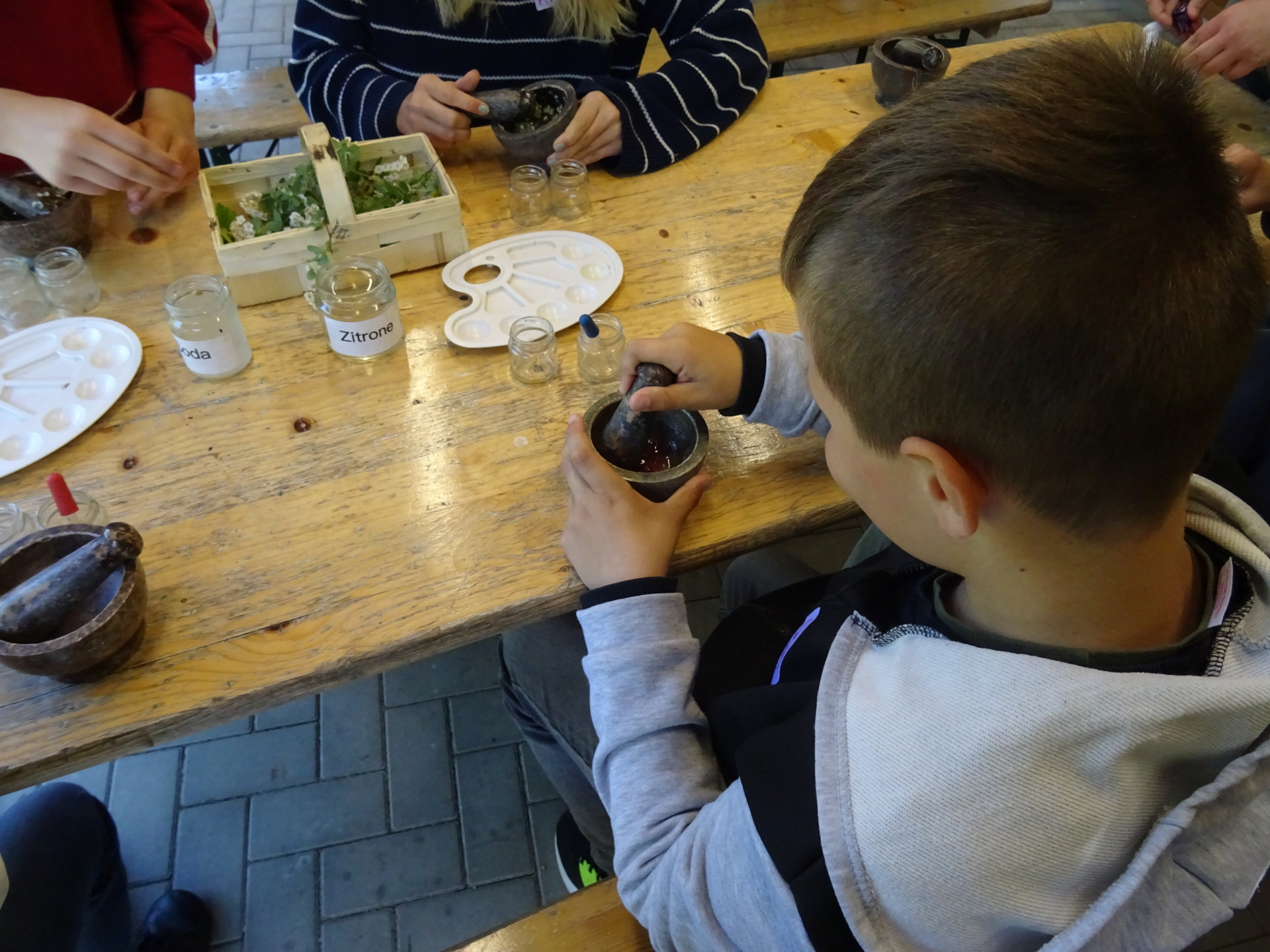 Bild der Galerie