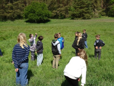 Foto des Albums: Klassenfahrt 4a