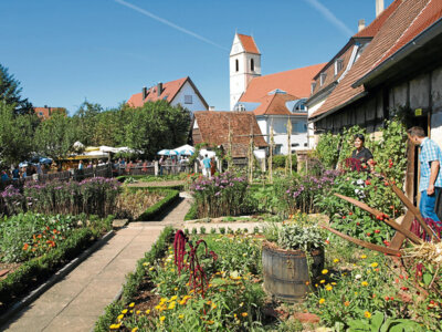 Vorschaubild der Galerie