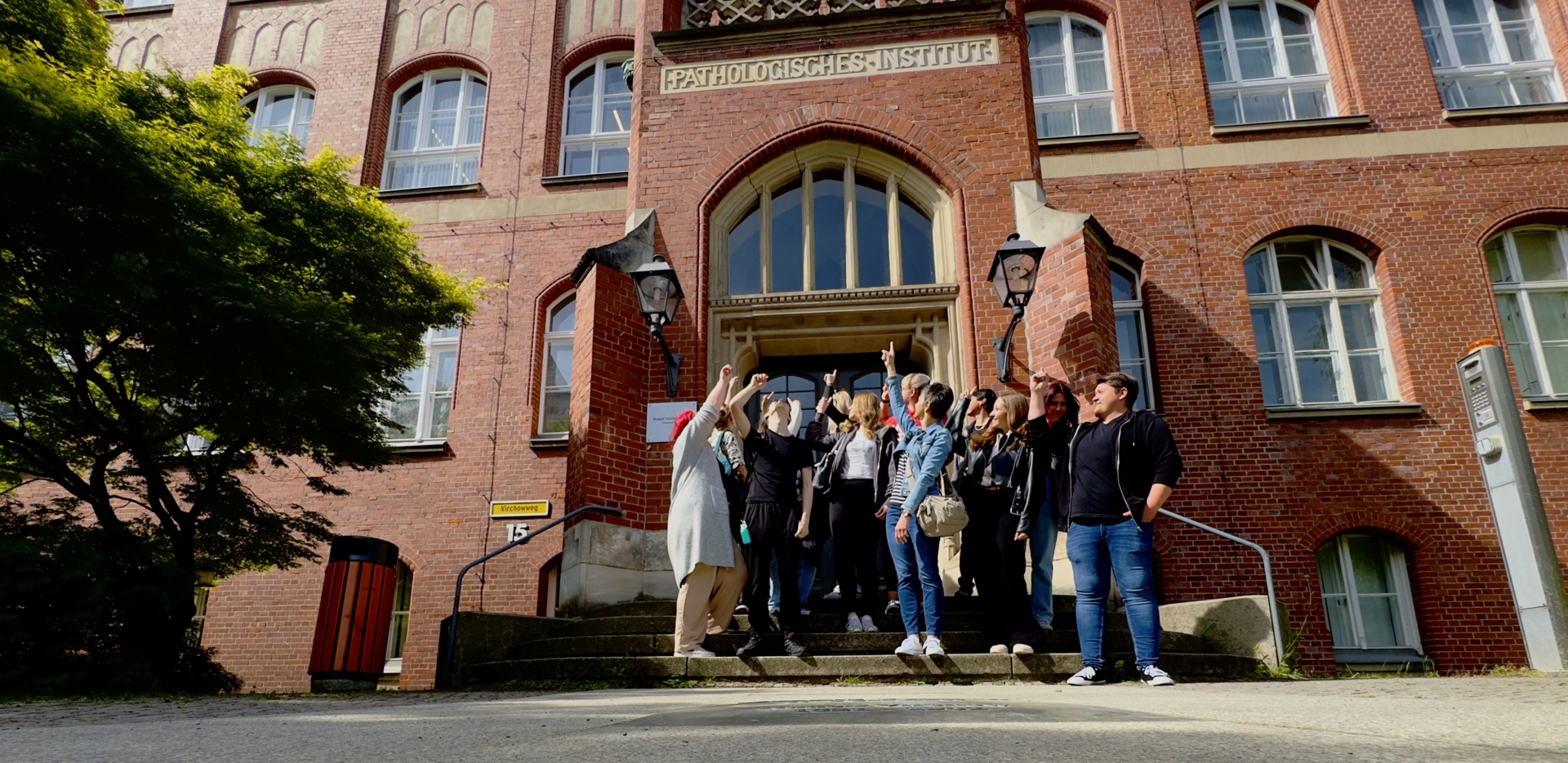 Bild der Galerie