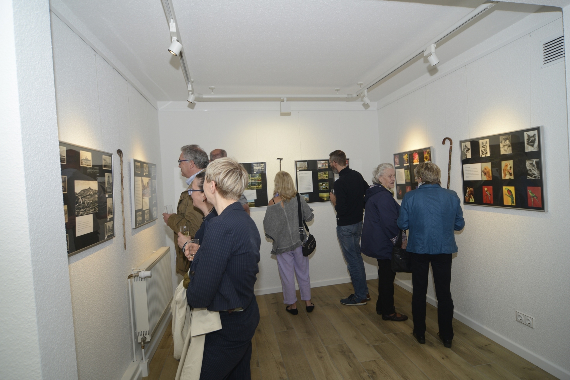 Bild der Galerie
