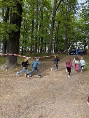 Vorschaubild: Spendenlauf Läufer 2