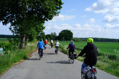 Nach Landringhausen  (Bild vergr&ouml;&szlig;ern)
