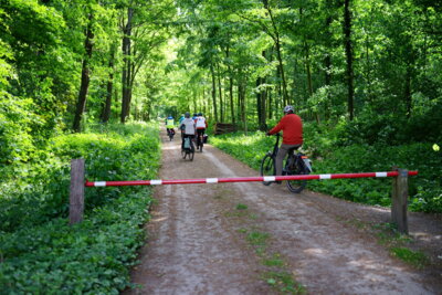 Zufahrt Almhorster Wald  (Bild vergr&ouml;&szlig;ern)