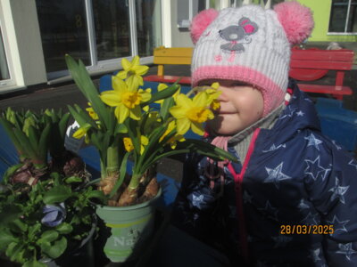 Ich spiele jetzt Bienchen und suche mir die tollste Blüte aus!  (Bild vergrößern)