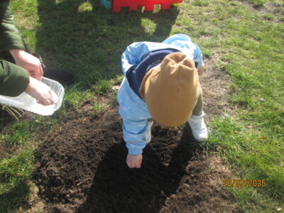 Und schwupp, weg sind sie.  (Bild vergrößern)