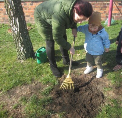 Jetzt kommt die Erde darüber.  (Bild vergrößern)
