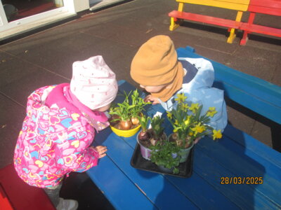 Oh wie duftet das!  (Bild vergrößern)