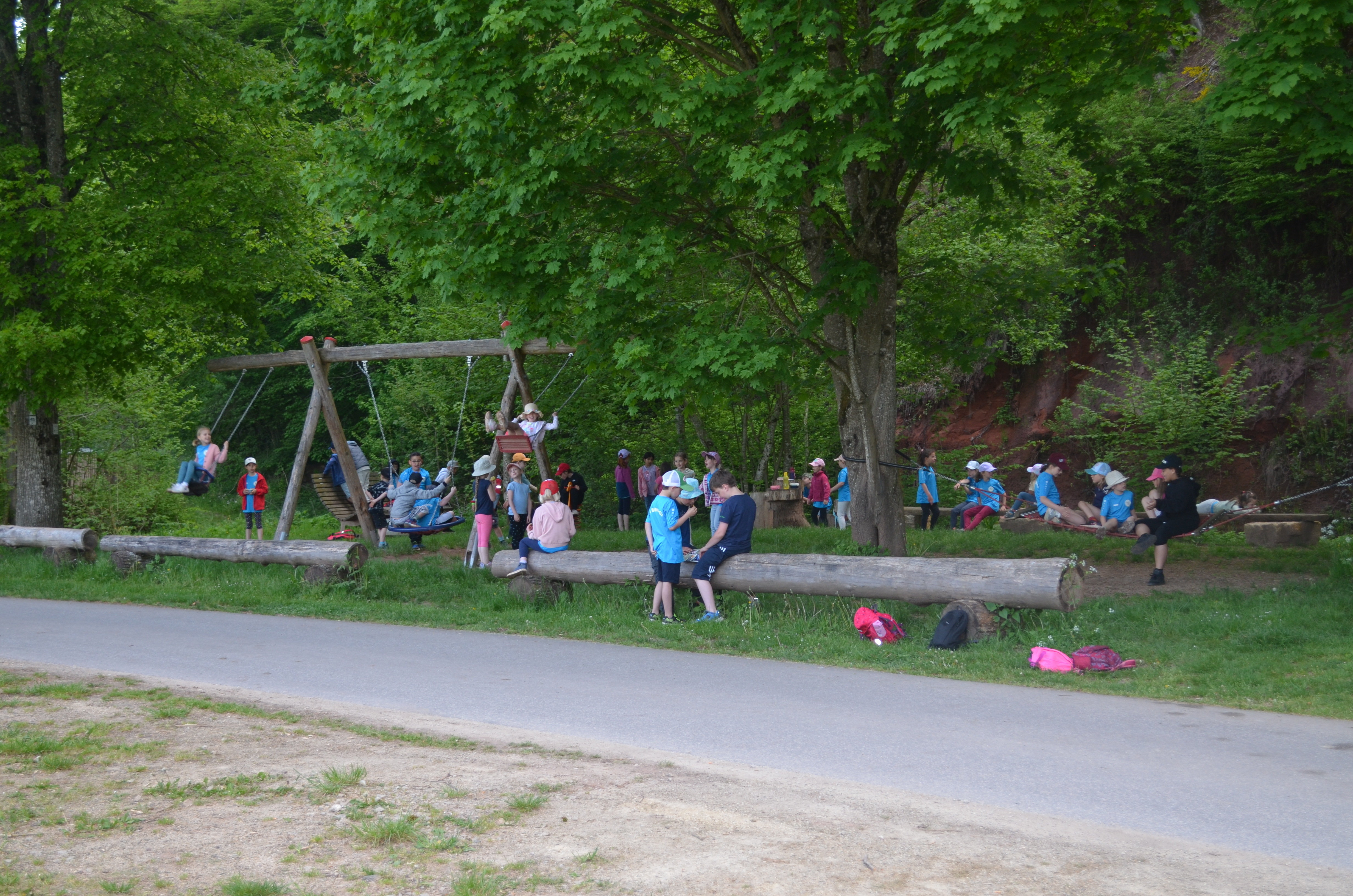 Bild der Galerie