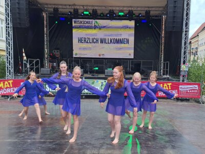 2025 Stadtfest Parchim Privat (1) 