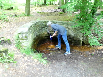 Herrenwiesenquelle  (Bild vergr&ouml;&szlig;ern)
