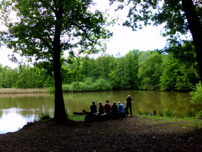 Rast am Niemannsteich  (Bild vergr&ouml;&szlig;ern)