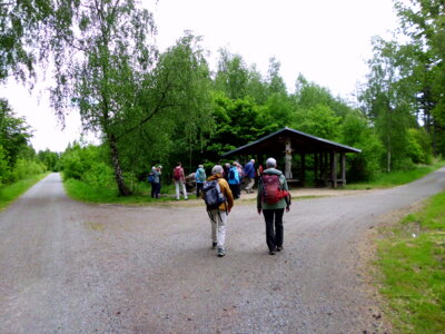 K&auml;fertr&auml;nke in Sicht  (Bild vergr&ouml;&szlig;ern)