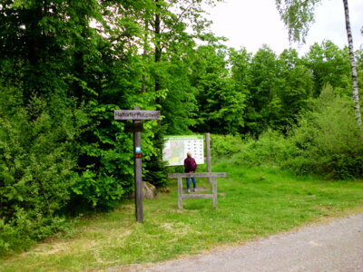 Betse Ausschilderung im Stadtwald  (Bild vergr&ouml;&szlig;ern)