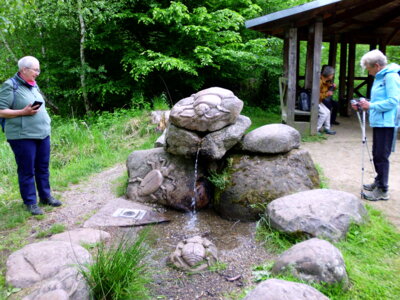 K&auml;fertr&auml;nke  (Bild vergr&ouml;&szlig;ern)