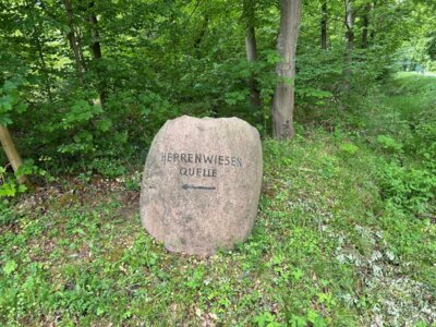 Foto des Albums: Quellen, Brunnen und viel Wald