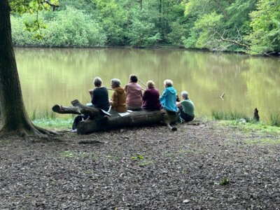 Rast mit Ruhe  (Bild vergr&ouml;&szlig;ern)