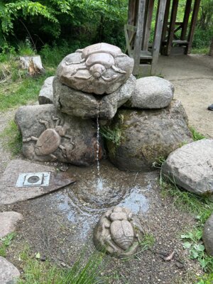 K&auml;fertr&auml;nke  (Bild vergr&ouml;&szlig;ern)
