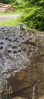 Sch&auml;lchenbrunnen  (Bild vergr&ouml;&szlig;ern)