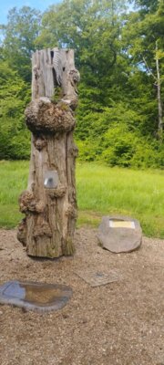 Foto des Albums: Quellen, Brunnen und viel Wald