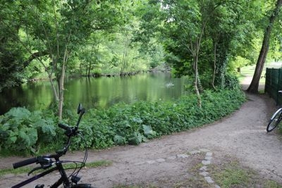 Bild: 2 Mühlenteich 2025 05 22 Eggersdorf-Tümpeltour 1538
