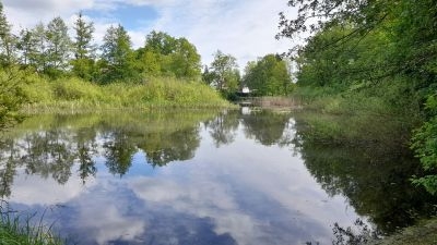 Bild: 3 Großer Giebelfhuhl 36831ma