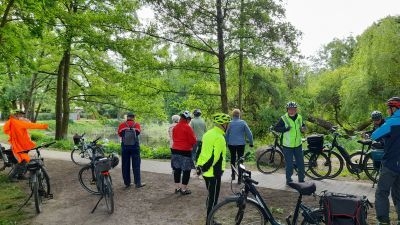 Bild: 3 Großer Giebelfpuhl 55168ma