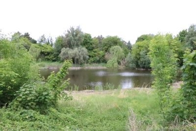 Bild: 6 Teilungssee 2025 05 22 Eggersdorf-Tümpeltour 1561