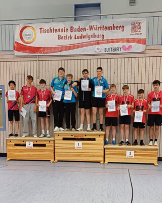 Foto des Albums: Bezirkspokal 